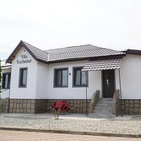 Vila Exclusive Тиргу-Жіу Екстер'єр фото